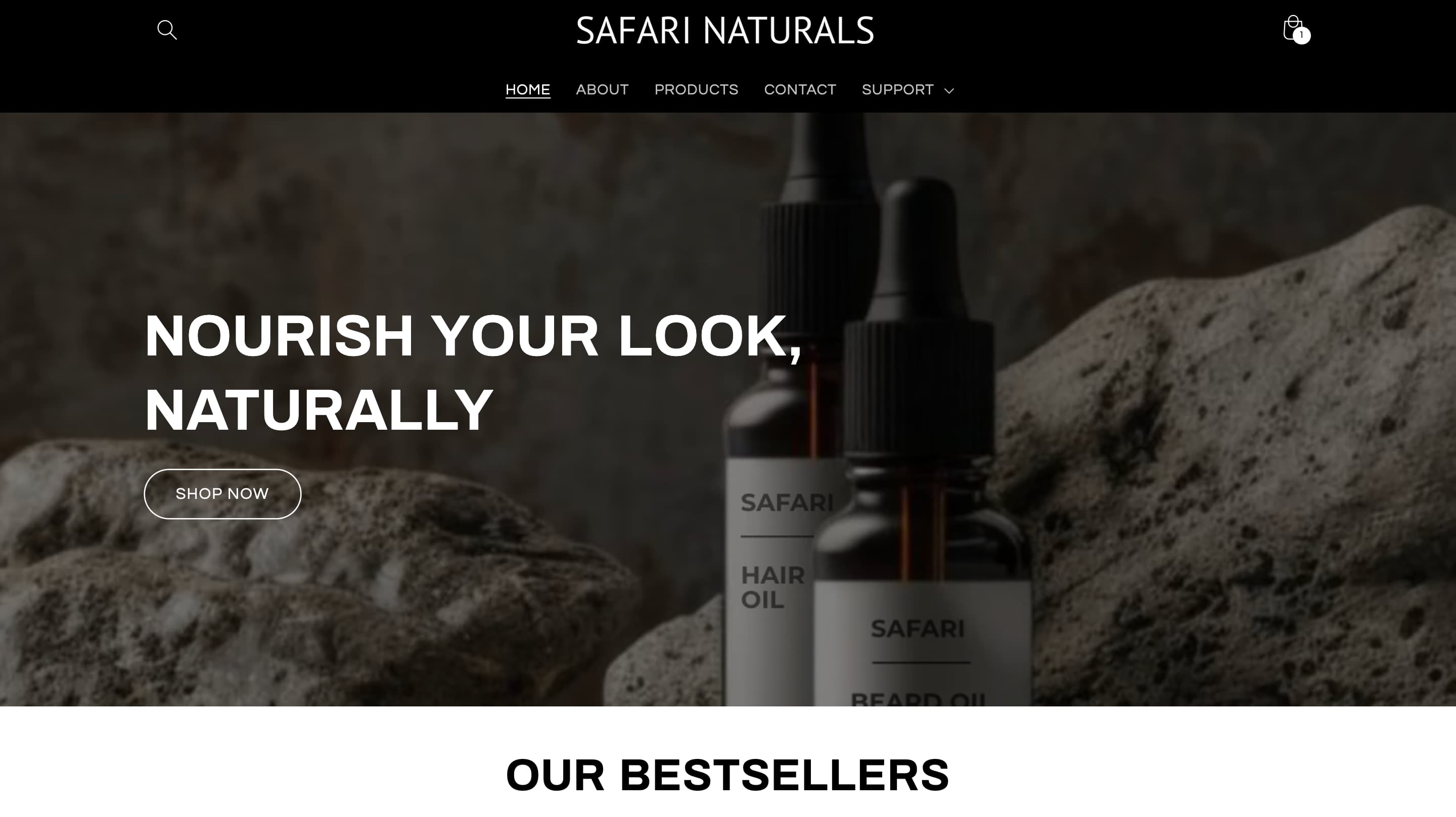 Website Design